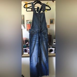 American Eagle Denim Overalls